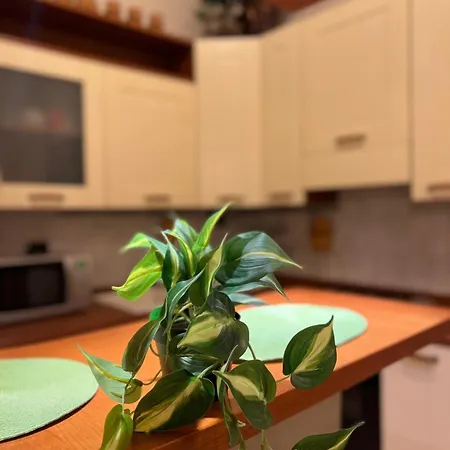 Artpa Gianicolo, Apartmán *